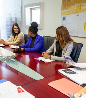 Business professionals attending a corporate consultation and strategy meeting