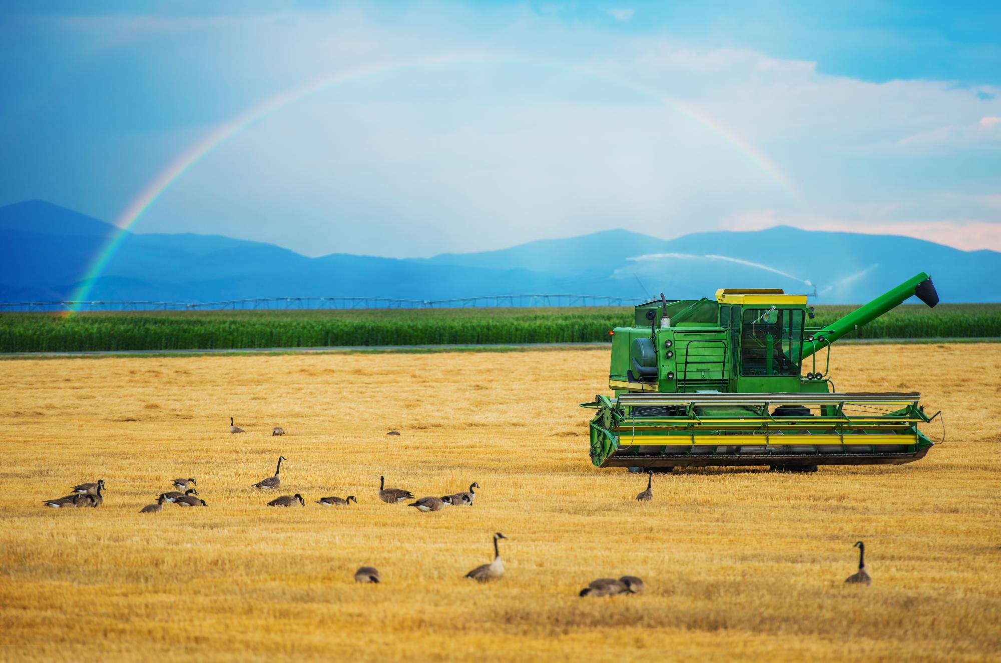 The impact of the new Agri Sector Code on B-BBEE
